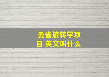 曼省旅转学项目 英文叫什么